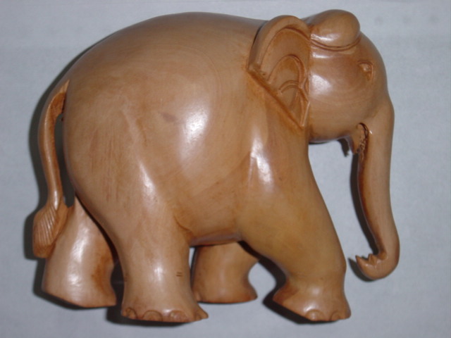 Elephant